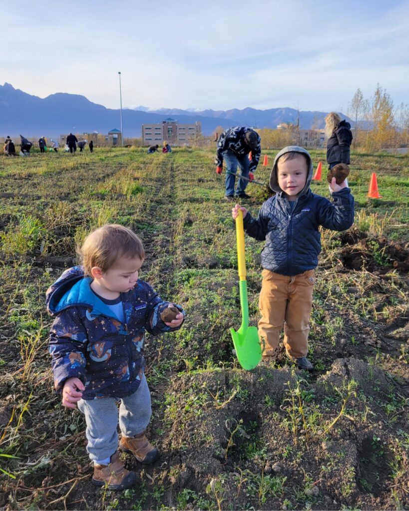 Two children harvesting potatoes during the Community Potato Harvest on October 1, 2024.  One is holding a small shovel and holding a potato up.  Field behind them with other people digging potatoes.