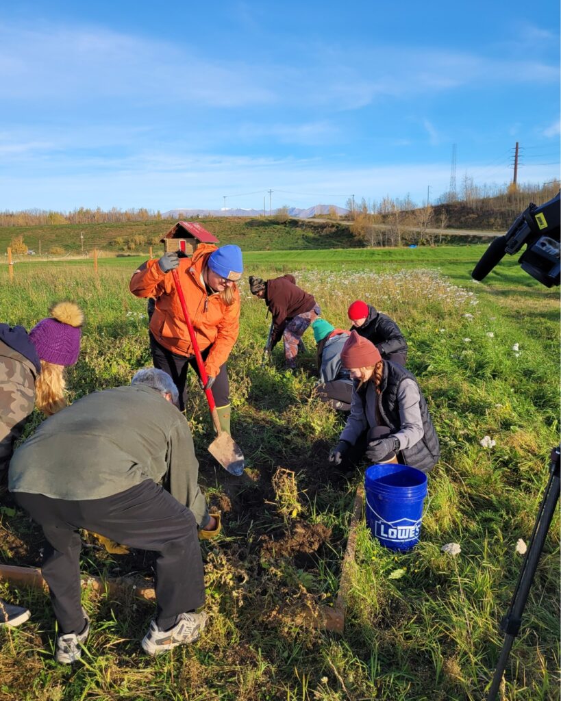 Harvesters digging up potatoes in the community garden plot.  lady standing in an orange coat with a shovel, the rest are crouched on the ground picking up potatoes.  green field, blue sky.