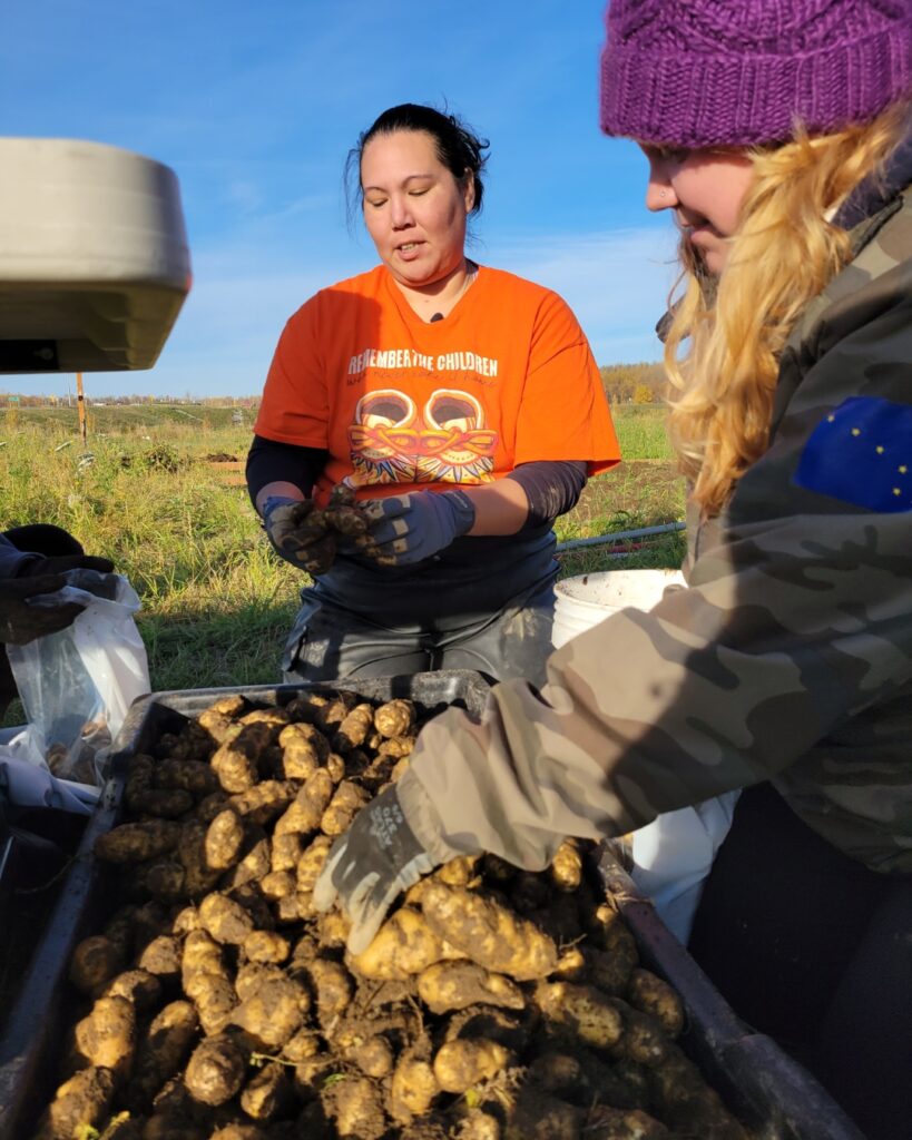 Lady in Orange Shirt holding up potatoes that are in a large bin.  lady beside her on right in pink hat with hands in potato bin.