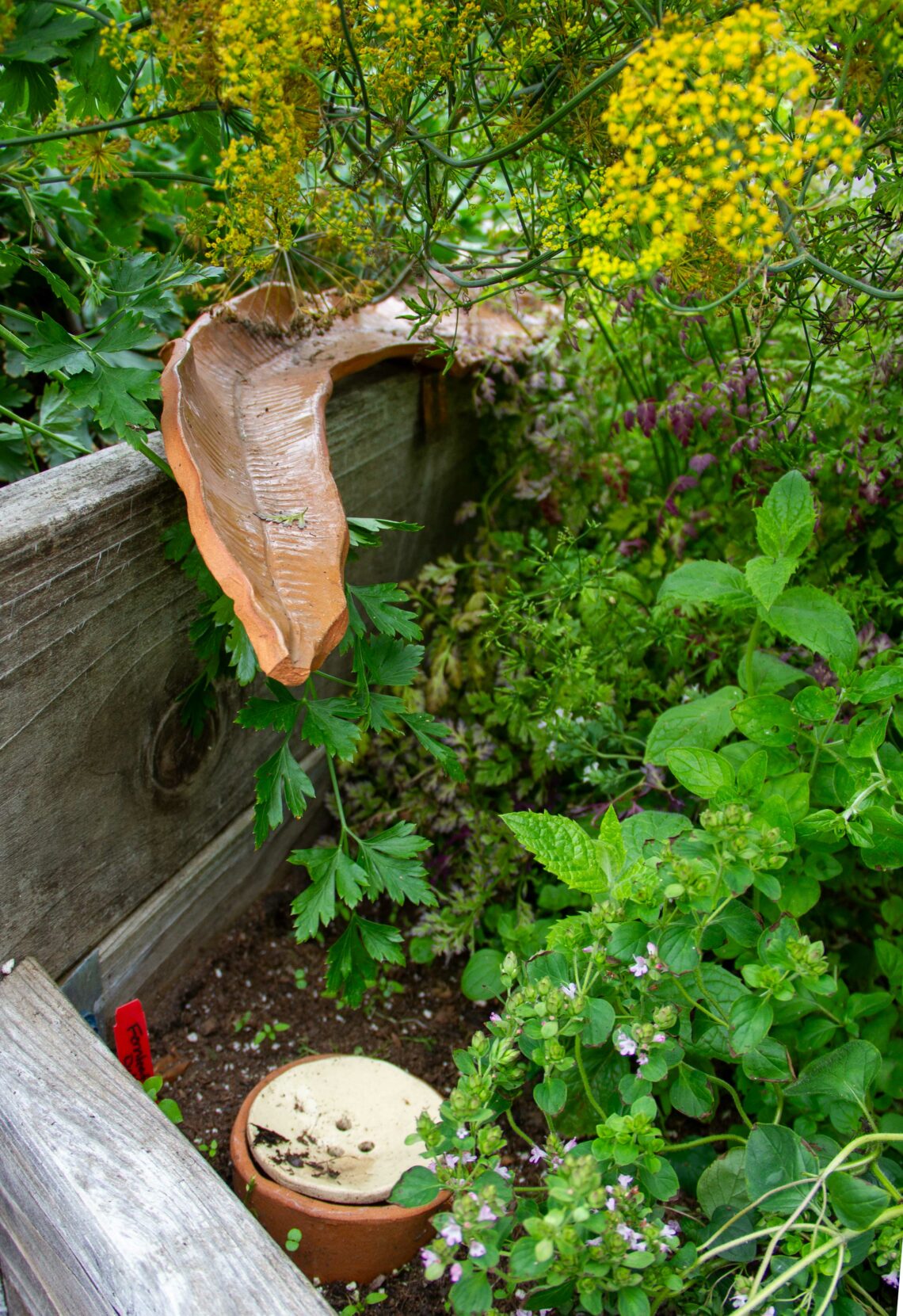 Sculpture of a fireweed leaf designed to catch and store water installed in a garden