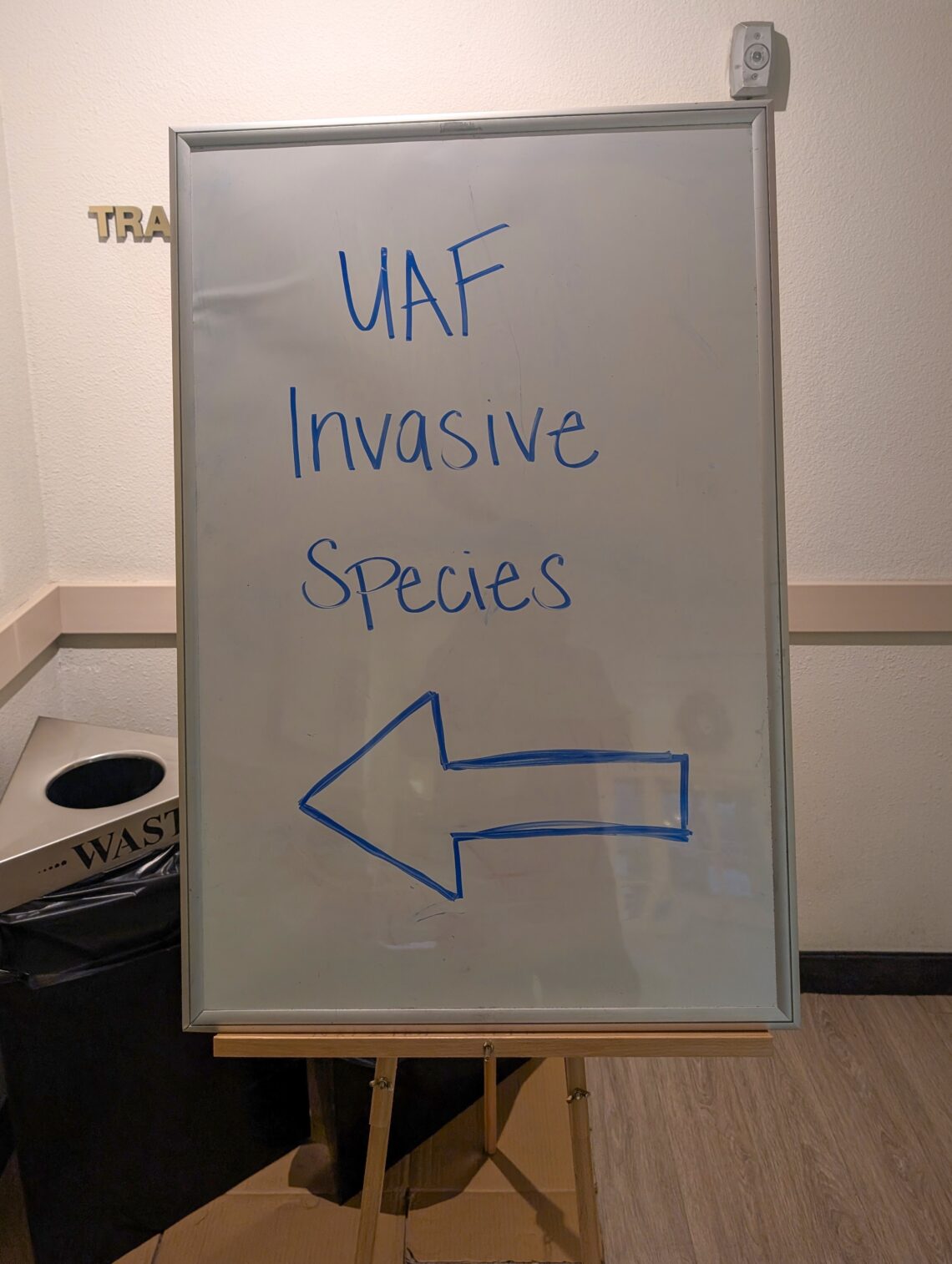 UAF Invasive Species written on a white board with an arrow pointing left